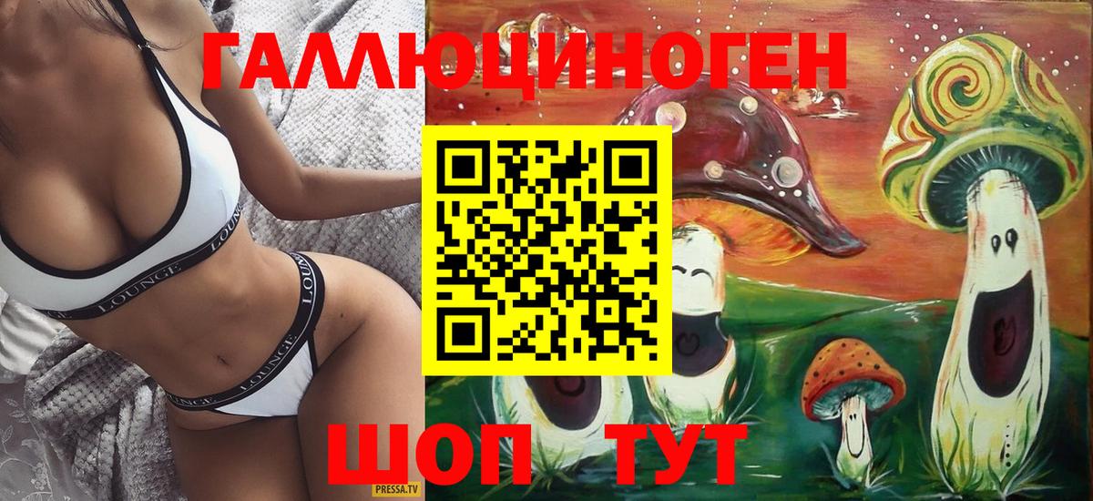 Качканар  Псилоцибиновые грибы GOLDEN TEACHER  где продают наркотики  Псилоцибиновые грибы прущие грибы  Вход с VPN 